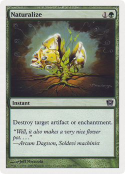 Naturalize #258 (Foil) (HP) 9th Edition 9ED Magic MTG - Image 1