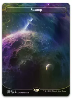 Swamp (242) (Borderless) #242 (Foil) (NM) Unfinity UNF Magic MTG - Image 1