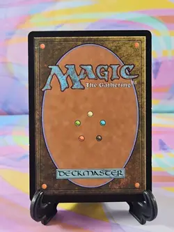 Magic the Gathering MTG Deckmasters 2001 Card | Forest 49/50 - Image 2