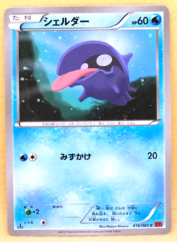 Shellder 1st Edition 2013 XY1 016/060 C Nintendo Pokemon Card Japanese F/S - Image 1