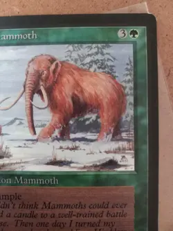 MTG War Mammoth Beta MAGIC THE GATHERING - Image 3