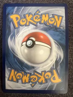 Morpeko V-Union Brust Wheel SWSH289 Black Star Promos Pokemon Card NM - Image 2