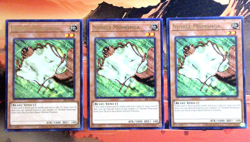 YuGiOh! 3x Nimble Momonga SRL-EN086 Unlimited NM R Playset - Image 1