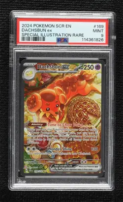 Dachsbun ex Special Illustration Rare Pokemon SV07: Stellar Crown PSA 9 MINT - Image 1