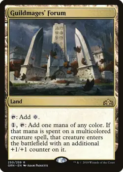 Guildmages' Forum 1x FOIL GRN MTG Guilds of Ravnica Rare MINT land - Image 1