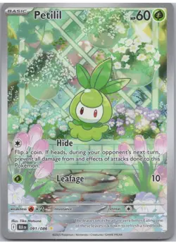 Petilil 091/086 Sv: Black Bolt Holo Illustration Rare English NM Pokemon TCG - Image 1
