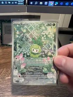 Petilil 091/086 Sv: Black Bolt Holo Illustration Rare English NM Pokemon TCG - Image 2