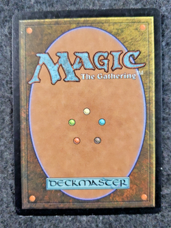 Sailmonger - Mercadian Masques - MTG Magic the Gathering Card (DS3D1K7) - Image 2