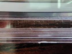 MTG ⭐Crusade ⭐UNLIMITED MINT ⭐Graded BGS 9.0 with 2x 9.5 subs ⭐1993 Rare Magic - Image 5