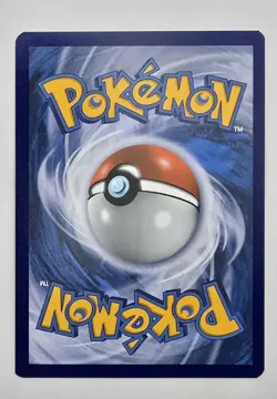 Pokemon SM247 Reshiram & Charizard GX Black Star Promos NM-Mint Condition - Image 2