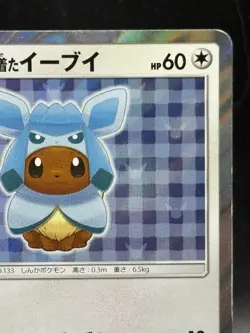 Poncho Eevee Glaceon 143/SM-P special Promo Pokemon Card Japanese Ver - Image 3