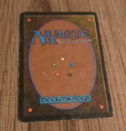 MTG Erg Raiders x1- -Arabian Nights - Moderately Played 1993 - Image 2