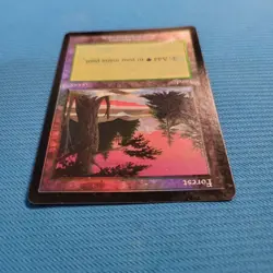 Foil Forest Arena Magic the Gathering ICE Land English MTG Used - Image 3