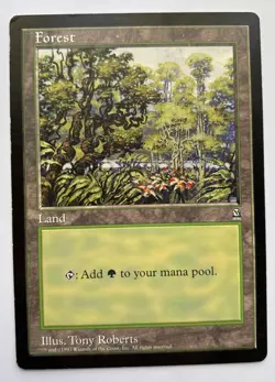 MTG Arena League Oversized 6x9, Forest - Basic Land, Arena 1997 - Image 1