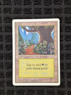 Forest (B) Unlimited - Basic Land - Lightly Played - Magic the Gathering (MTG) - Image 1