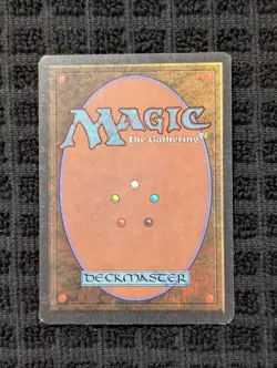 Forest (B) Unlimited - Basic Land - Lightly Played - Magic the Gathering (MTG) - Image 2