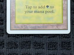 Forest (B) Unlimited - Basic Land - Lightly Played - Magic the Gathering (MTG) - Image 5