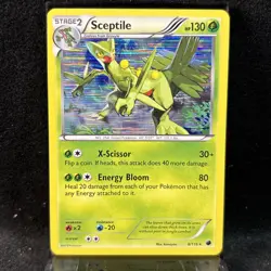 Sceptile Holo B&W Plasma Freeze 8/116 Pokemon Card TCG - Image 1