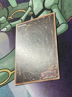 Blue-Eyes White Dragon DPKB-EN001 Duelist Pack Kaiba NM Yugioh Yu Gi Oh Super - Image 5