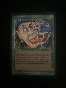 MAGIC THE GATHERING MTG - Big Lot of 51 Cards - Including 21 from ARABIAN NIGHTS - Image 5
