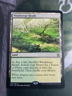 1x Windswept Heath, Khans of Tarkir, NM, MTG - Image 1