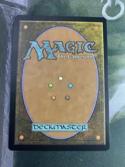 1x Windswept Heath, Khans of Tarkir, NM, MTG - Image 2