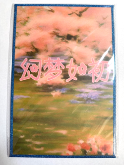 Keqing GENSHIN IMPACT - Waifu Goddess Trading Card - A5 Board Size CCG - Image 2
