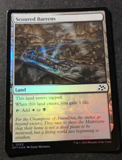 Scoured Barrens - Foil - DFT - MTG - NM - EN - 0263 - Image 1