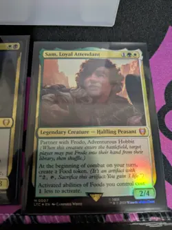 Food and Fellowship SLEEVED Commander EDH Deck MTG Modified Precon Read Desc 195166230245 - Image 3