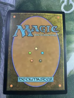 1x MISTY RAINFOREST, MODERN HORIZONS 2, NM, MTG - Image 2