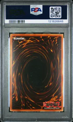 Yugioh Blue Eyes White Dragon Anniversary Pack YAP1-EN001 PSA 8 NM-MT - Image 2