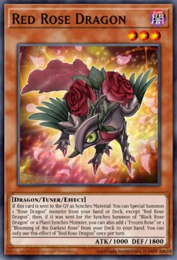 Yugioh! Mega Tins 2025 PREORDER 1x StR Red Rose Dragon - Image 1