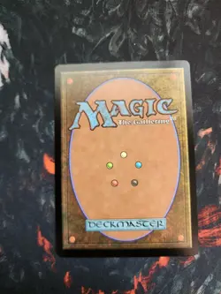 MTG Hedge Maze 326 Rare Foil Borderless Land Murders at Karlov Manor - Image 3