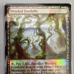 Wooded Foothills (FOIL) - Zendikar Expeditions - MTG - NM Condition - Image 2
