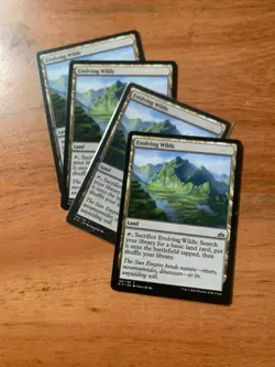 x4 MTG Evolving Wilds LP-Rivals of Ixalan Magic the Gathering Playset - Image 1