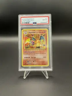 Pokemon Charizard XY Evolutions Holo Rare #11 PSA 8 Near Mint! - Image 1