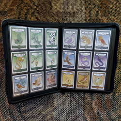 Pokai Gaku Master Set - + Extra Goodies - Promo Set - Pokemon Fan Art - Image 2