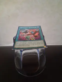 OBEDIENCE SCHOOLED MP14-EN242 SUPER RARE 1st EDITION LIGHTLY PLAYED YUGIOH - Image 4