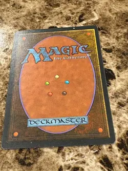 DANDAN Magic the Gathering MTG Chronicles MP -C - Image 2