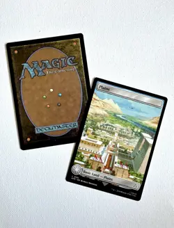 MTG Assassin’s Creed Basic Land Common Full Art Set Of 10 Non-Foil - Image 3