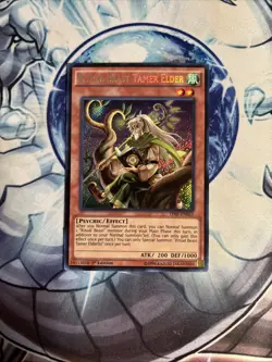 (YCL) Yugioh Ritual Beast Tamer Elder THSF-EN023 Secret Rare 1st VLP - Image 1