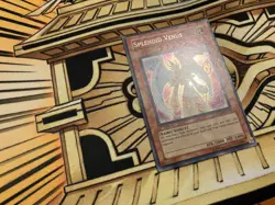Splendid Venus TDGS-EN094 1st Secret Rare MP Yugioh Card - Image 2