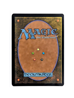 Plains L 0272 Basic Land FOIL MTG Aetherdrift DFT EN NM/M - Image 2