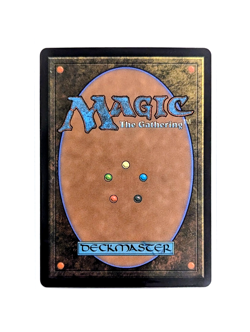 Rugged Highlands L 0262 FOIL MTG Aetherdrift DFT EN NM/M - Image 2