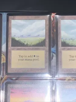 1993 MTG Beta Edition Basic Land Complete Set Group of 15 - Near Mint or Better - Image 3