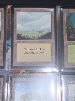 1993 MTG Beta Edition Basic Land Complete Set Group of 15 - Near Mint or Better - Image 4