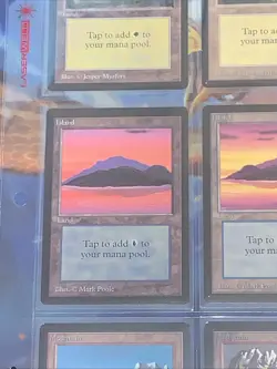 1993 MTG Beta Edition Basic Land Complete Set Group of 15 - Near Mint or Better - Image 5