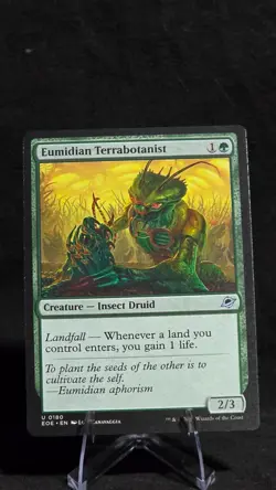 eumidian terrabotanist mtg - Image 1