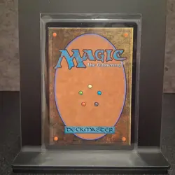 MTG Velomachus Lorehold Borderless Strixhaven: School of Mages Regular Japanese - Image 2