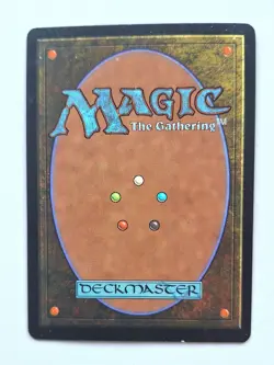 YAVIMAYA HOLLOW Urza's Destiny LP IT magic the gathering MTG vintage - Image 2